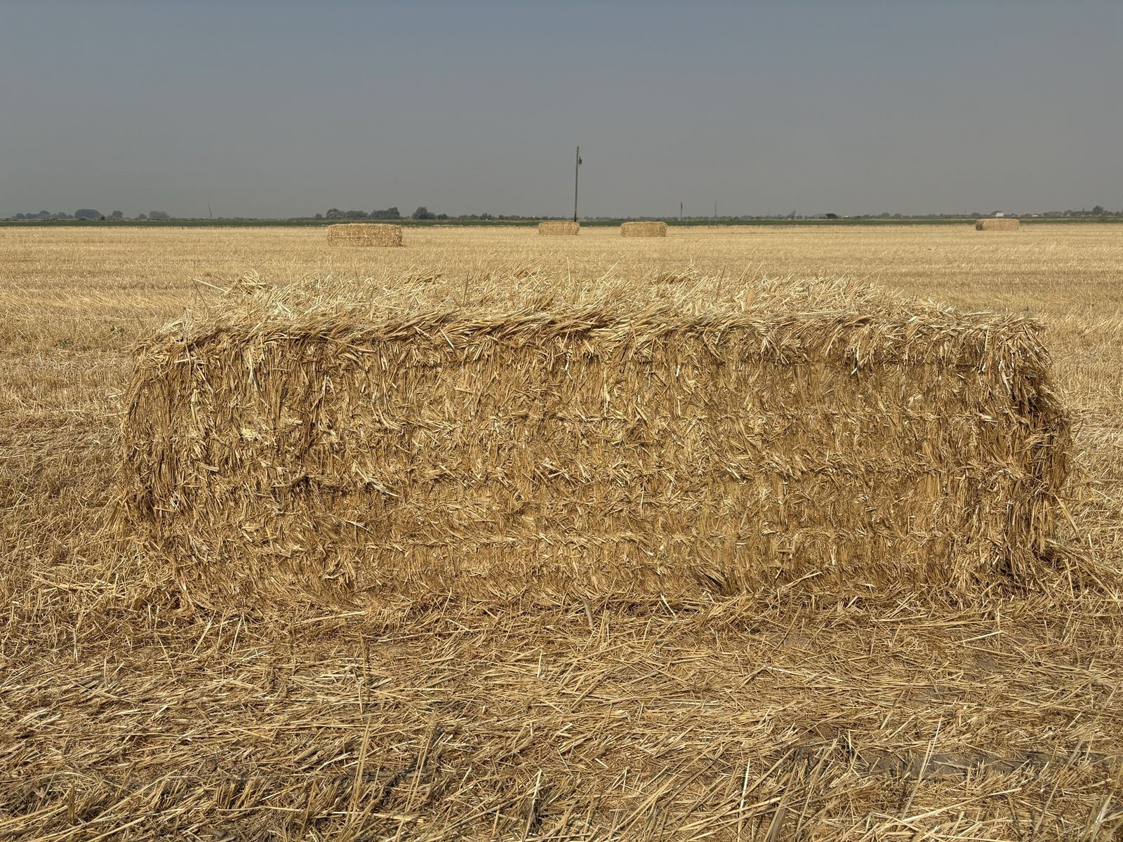 3x4 straw bales