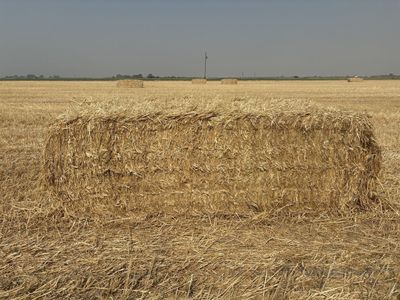3x4 straw bales