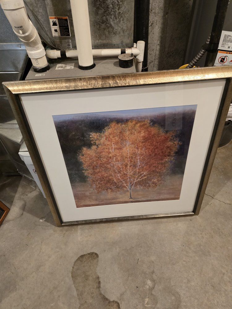 Tree Framed Art Work