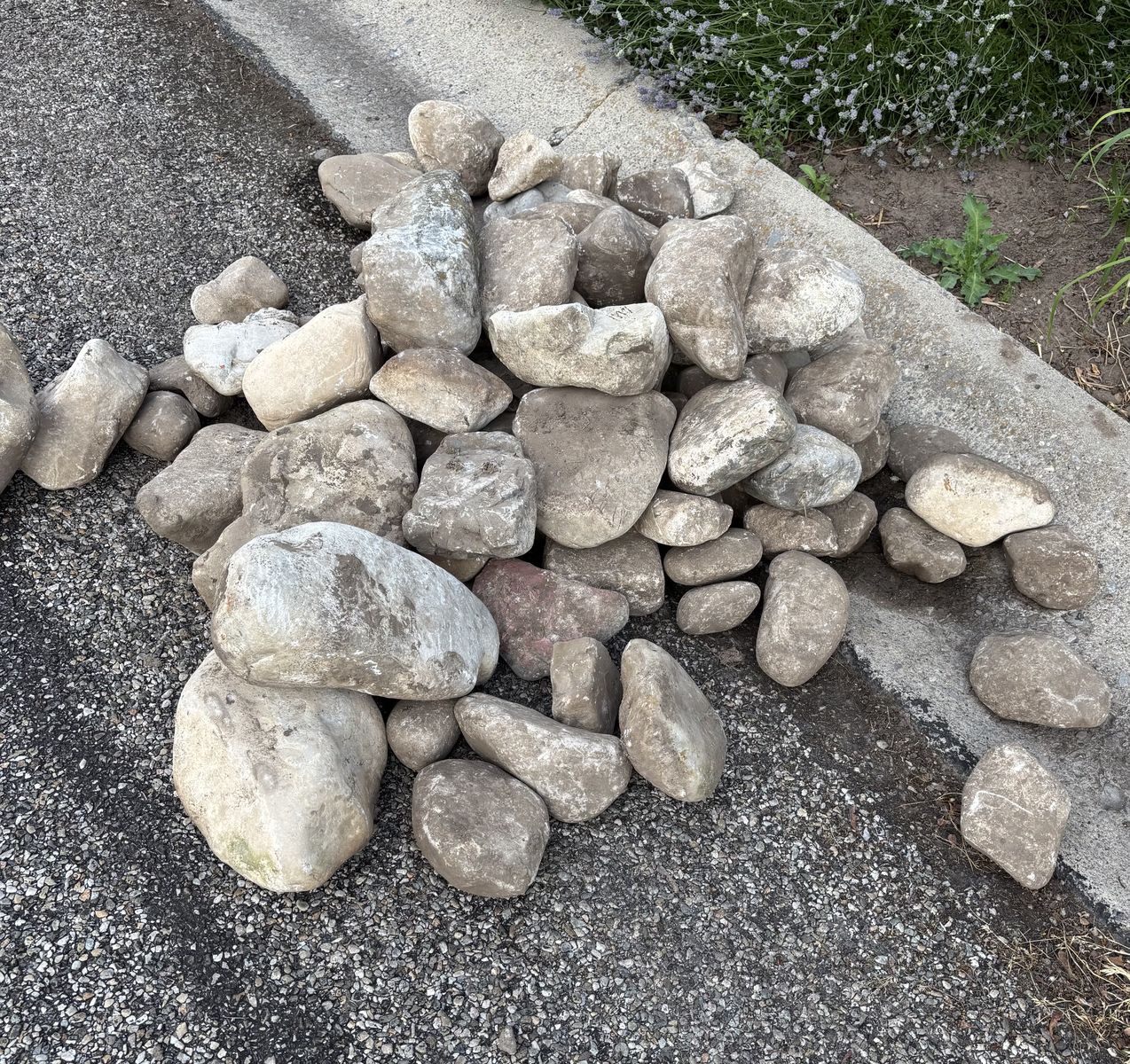 Free river rocks