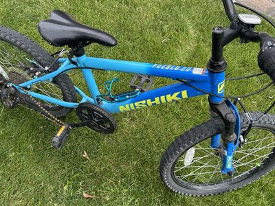 Blue Bike 20"