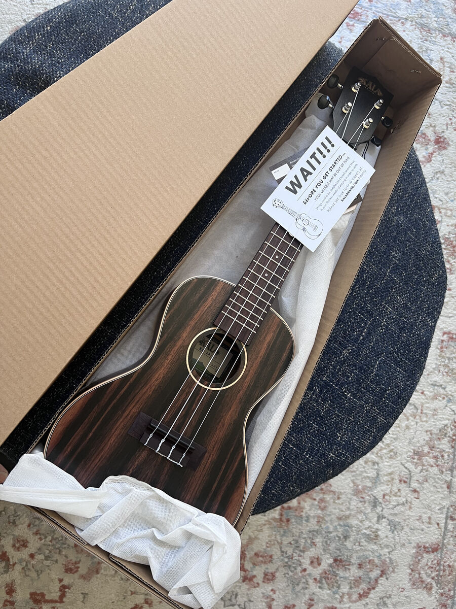 KALA Striped Ebony Concert Ukulele NEW