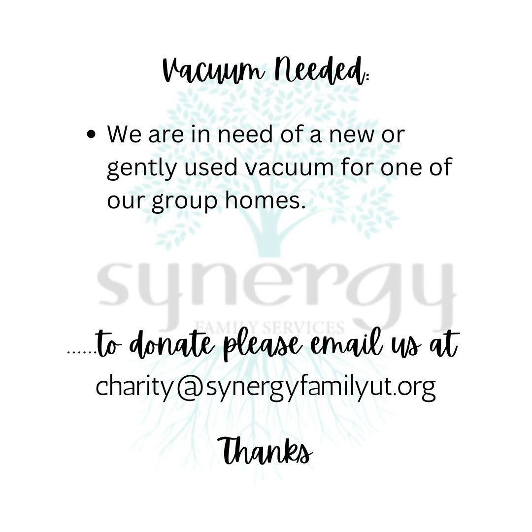 Vacuum Needed -Synergy Family Foundation