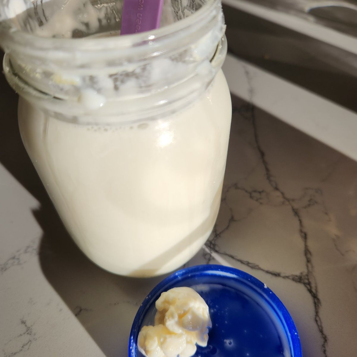 Kefir Grains (Milk)