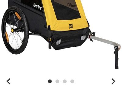 Burley bee double bike trailer