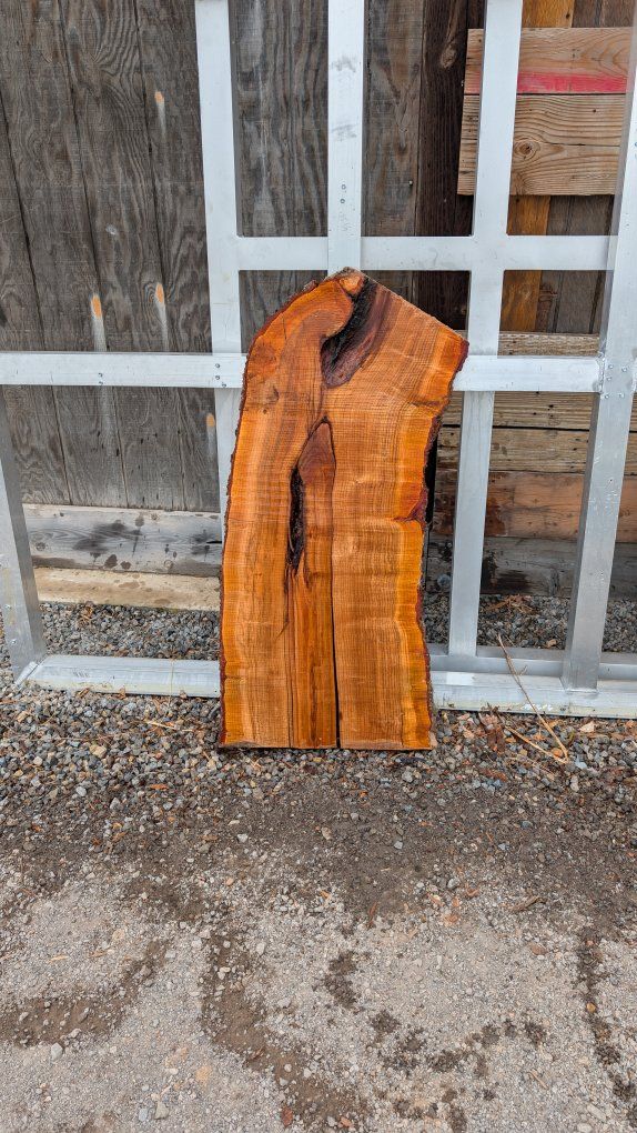 Almond wood slab