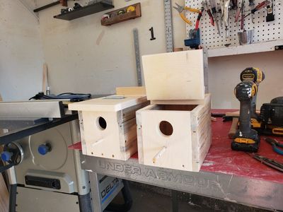 Handcrafted Wooden Bird House with Perch and Hinged Roof