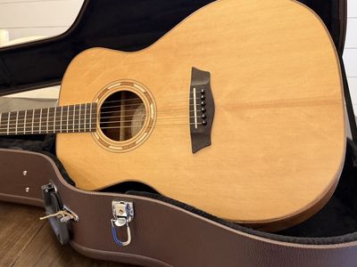 Beautiful Washburn Guitar