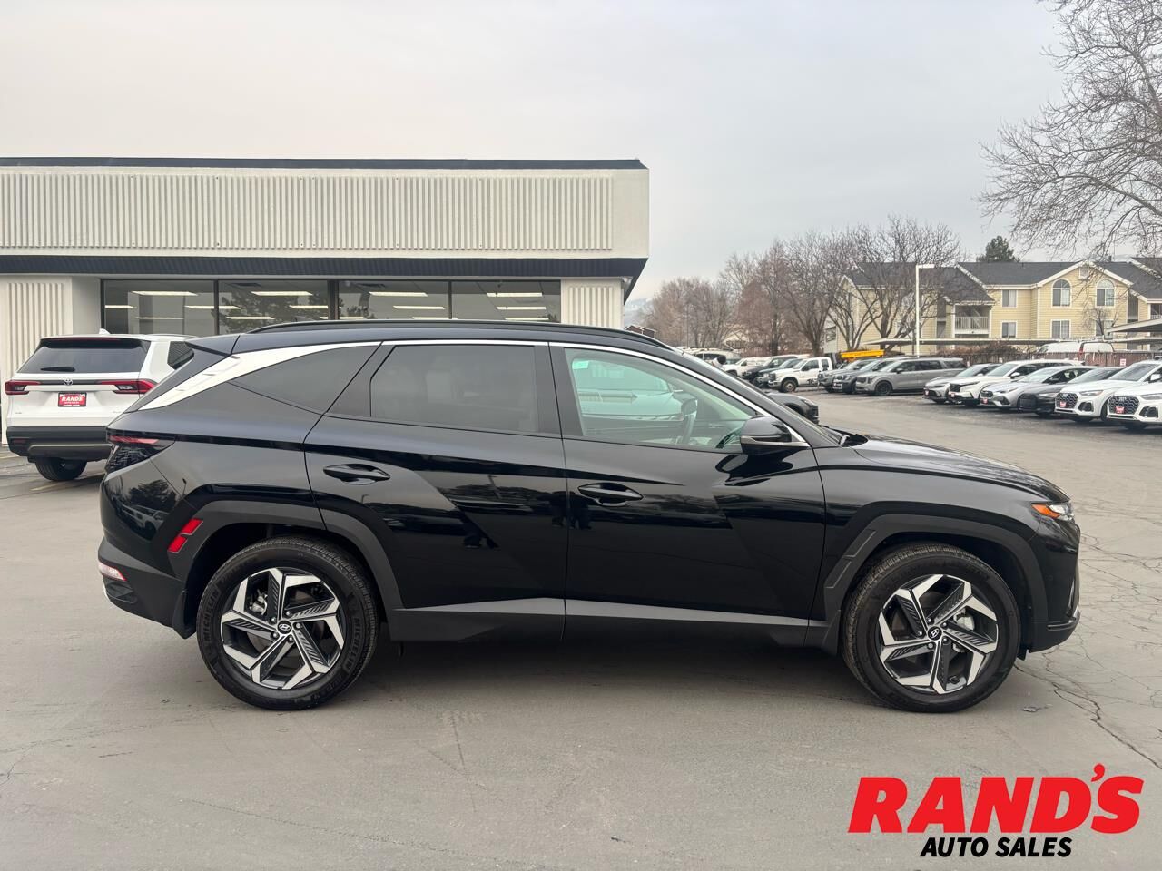 2024 Hyundai Tucson Hybrid Limited