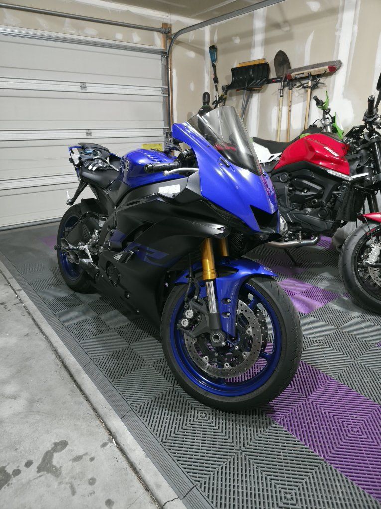2022 Ducati Monster Plus 937 & 2019 Yamaha YZF-R6