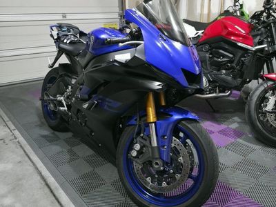 2022 Ducati Monster Plus 937 & 2019 Yamaha YZF-R6