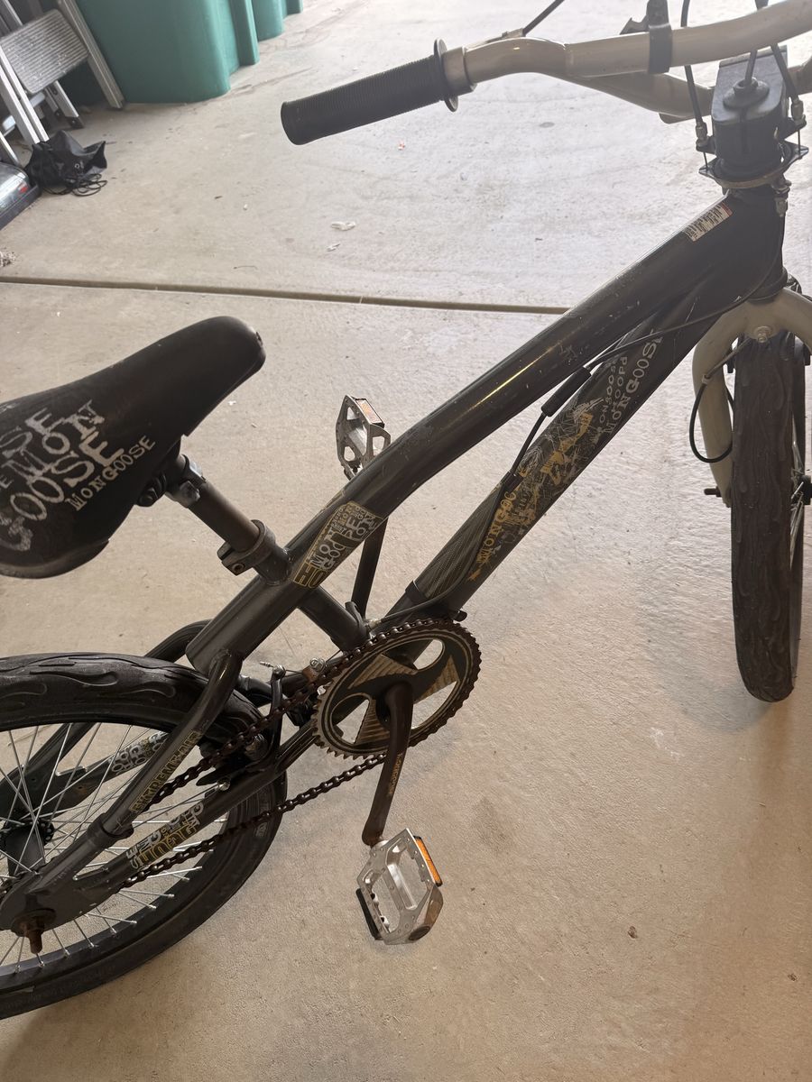 Mongoose Bike