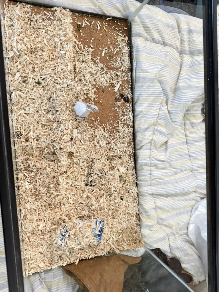 40 Gal Breeder  Reptaile Tank No Lid