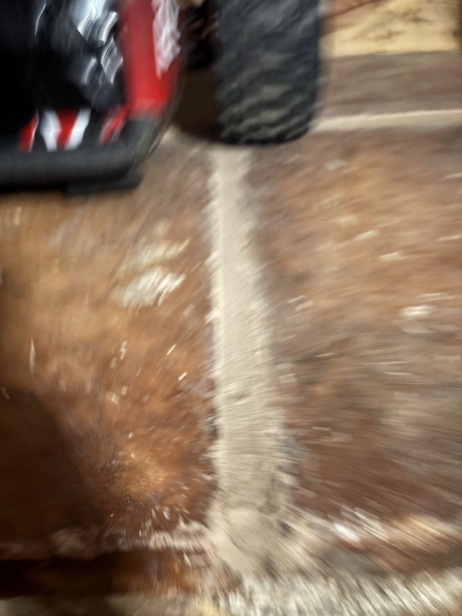 Main image 4