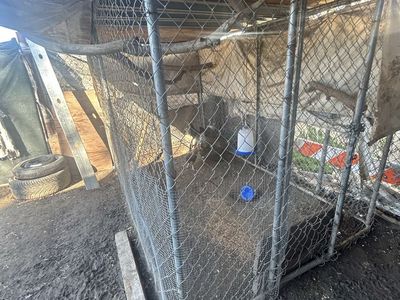 Dog run / dog kennel