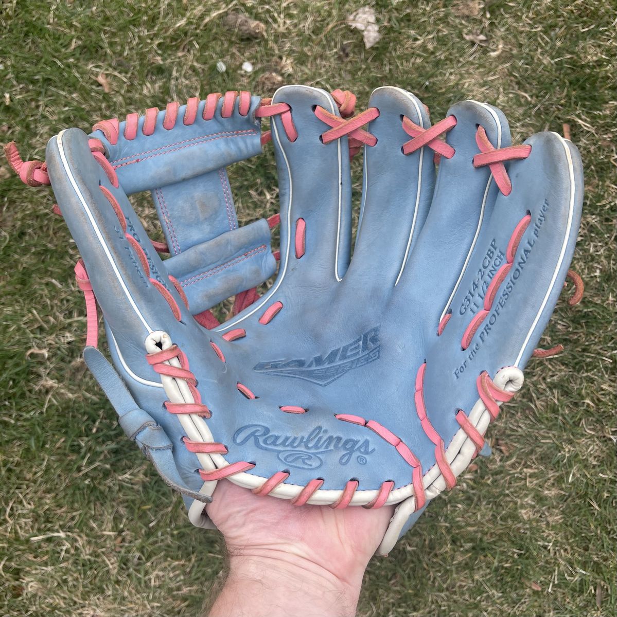 Rawlings 11.5 in. Baseball Glove