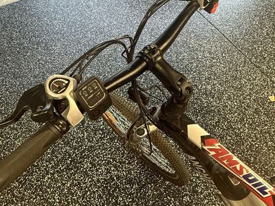 Electric Bike