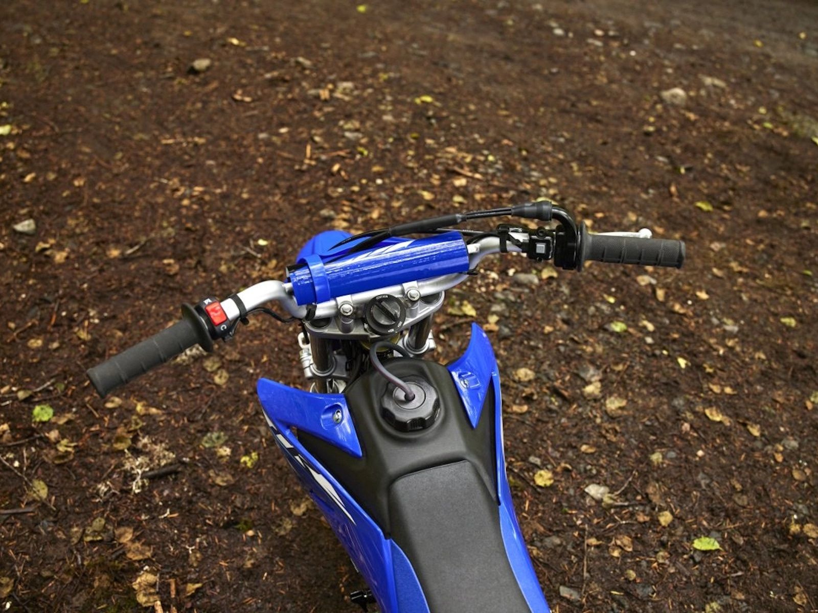 Main image 10