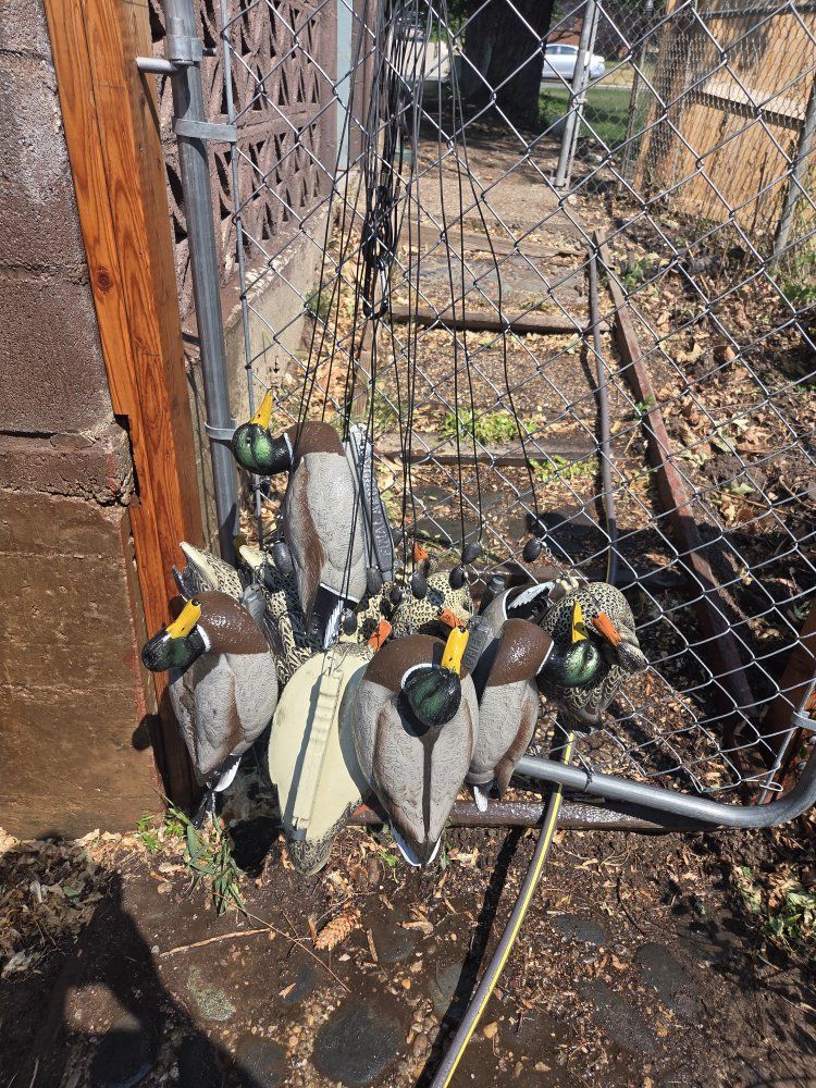 1 dz Final Approach mallard Duck Decoys Set with rigs
