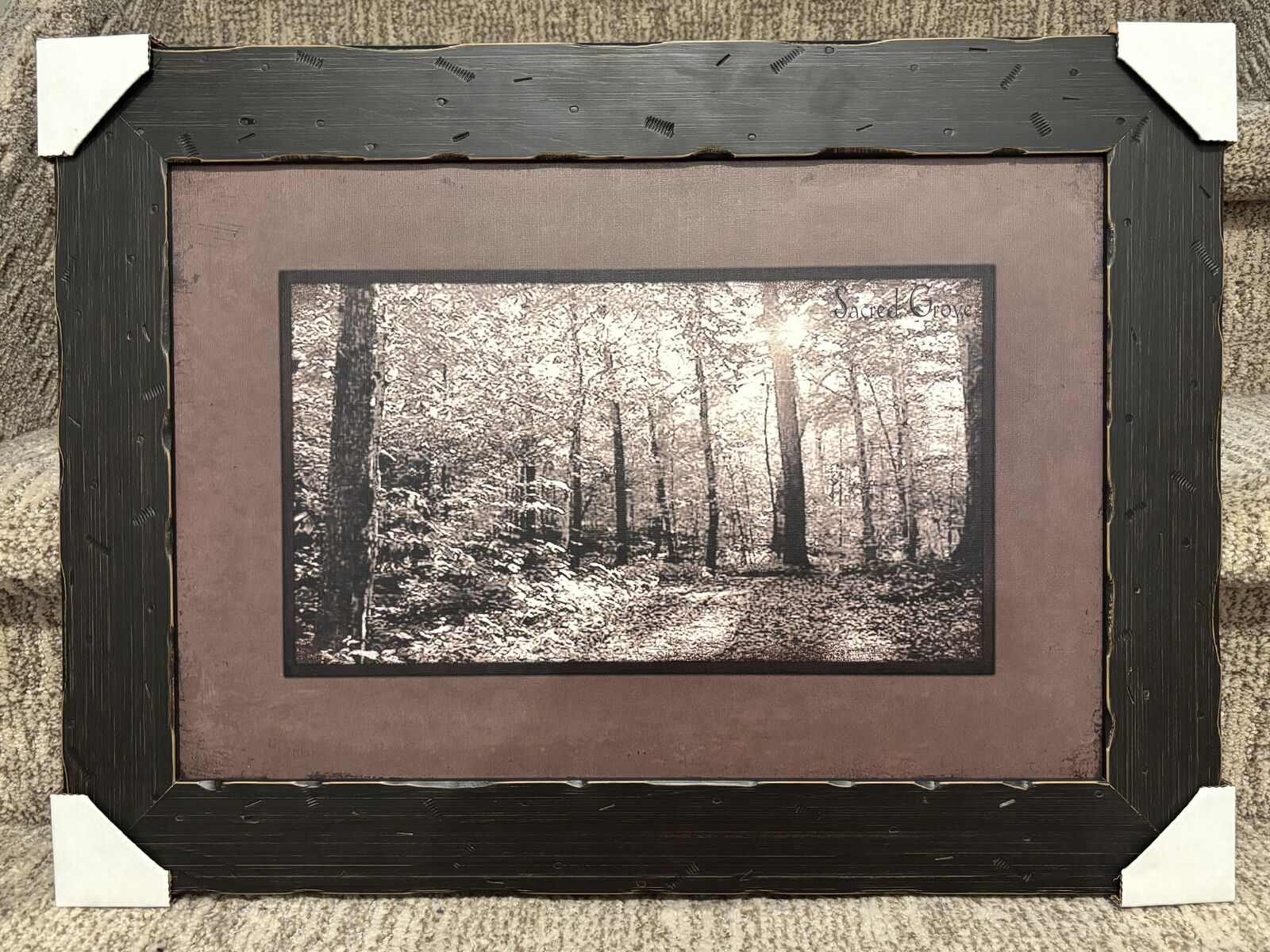 Sacred Grove framed picture