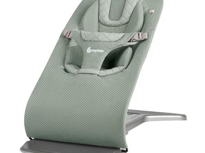 NEW Ergobaby Evolve 3-in-1 Bouncer Seat for Babies and Toddlers 5.5-25 lbs