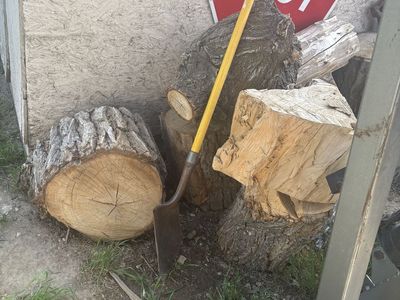 FREE fire wood