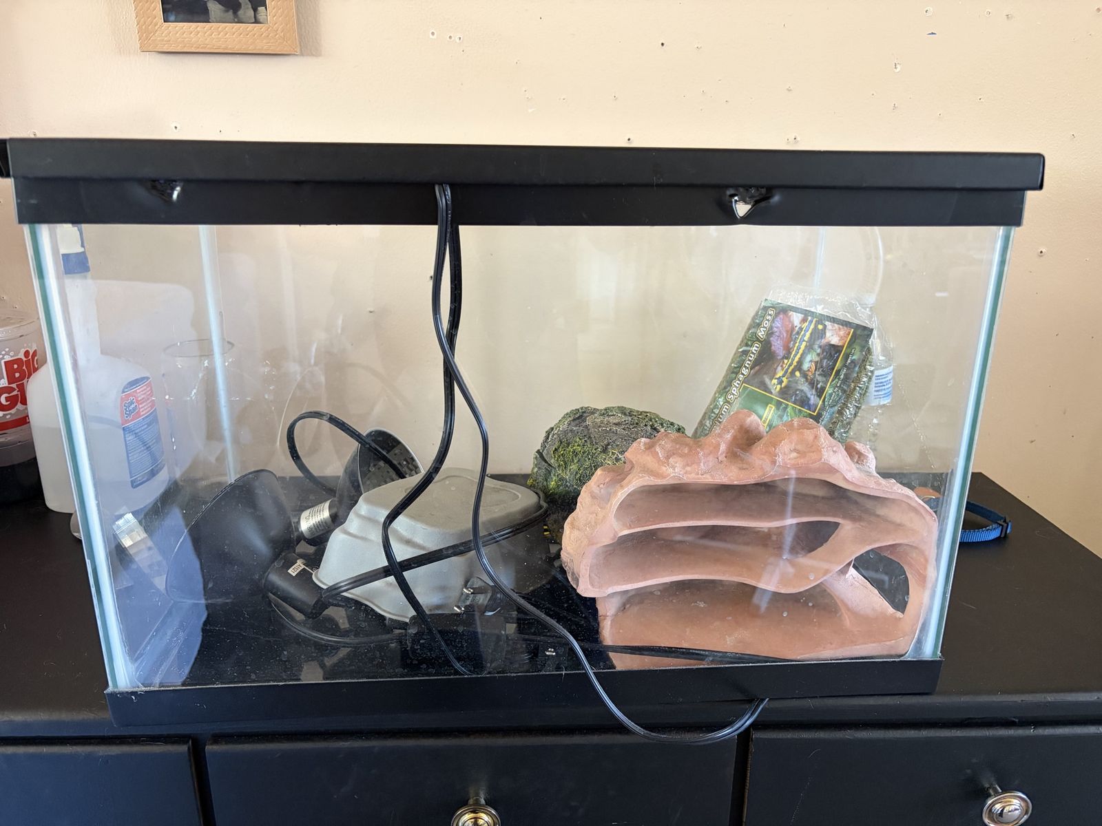 Lizard tank and accessories