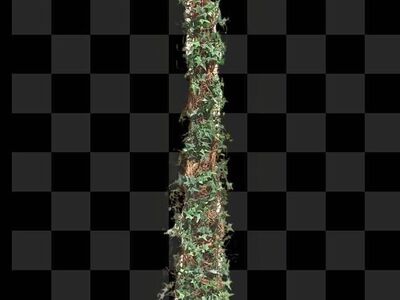 82” Ivy Cone Topiary Tree Planted In A Metal Pot - Compare @ $300-$420 Paint Pot 2 UR Colors - C Pix