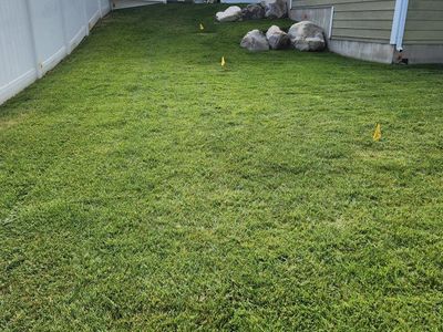 Artificial Turf for Home or Garden - Green, Durable, Low Maintenance