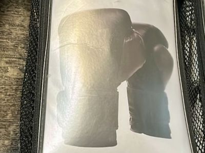 Everlast Powerlock Boxing Gloves