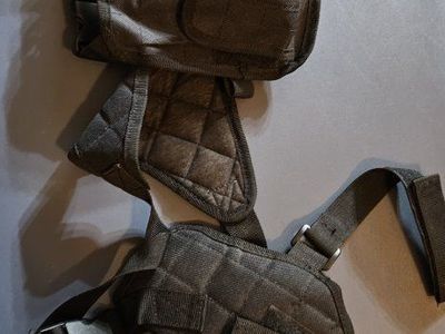 shoulder holster