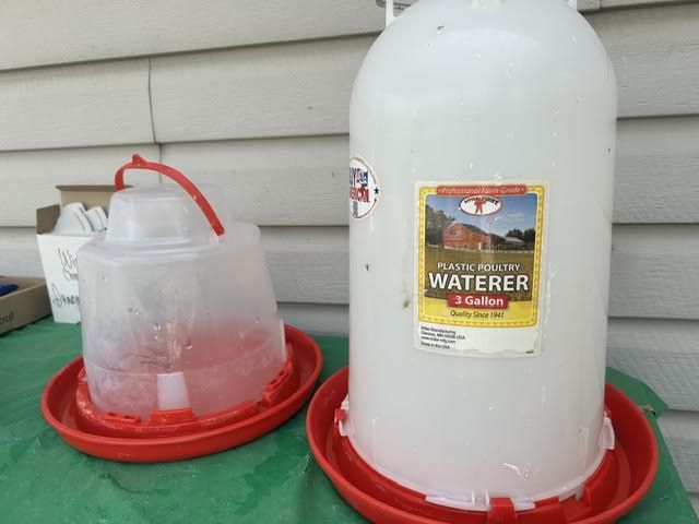 poultry waters