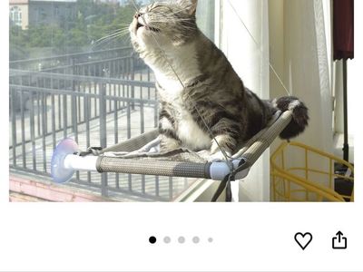 Window cat bed