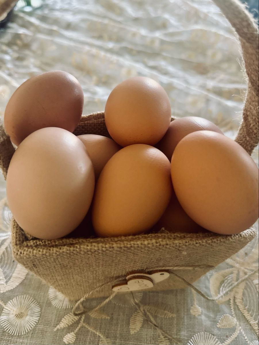 Laying Hens/ with coop and run.