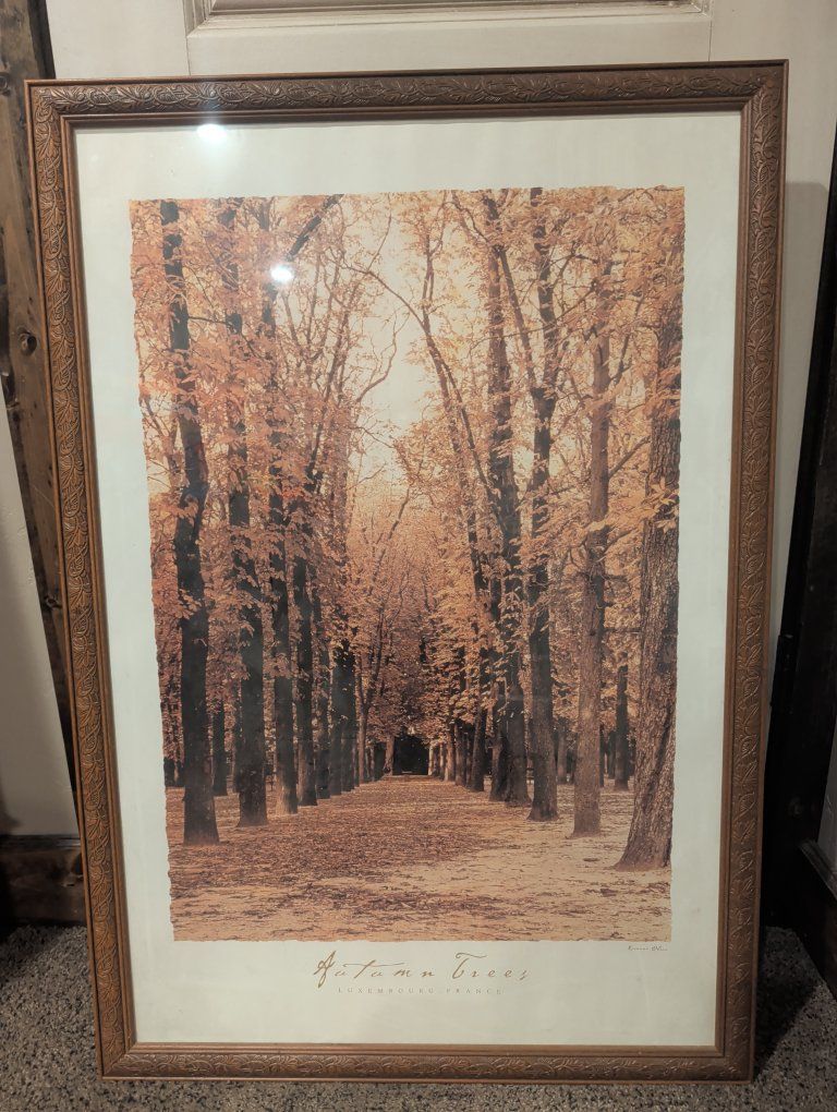 Rosanne Olson "Autumn Trees Luxembourg, France" Framed Art Print