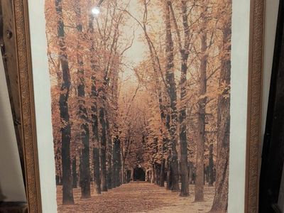 Rosanne Olson "Autumn Trees Luxembourg, France" Framed Art Print