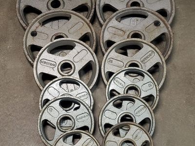 260 pounds of Olympic weights