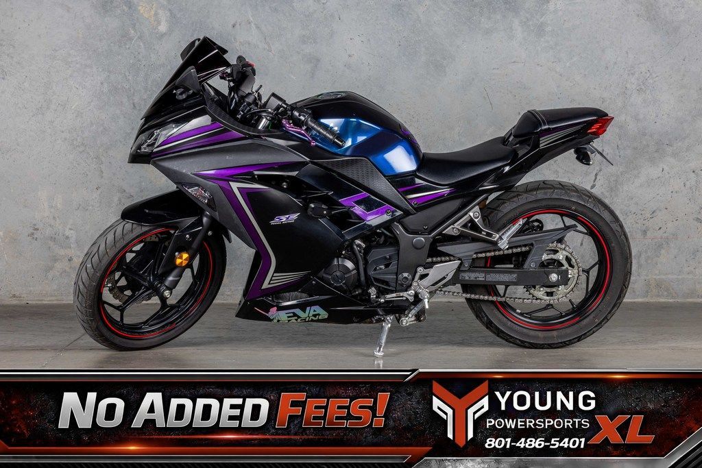 2014 Kawasaki Ninja® 300 ABS