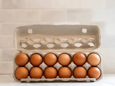 Healthy free-range backyard flock fed high-quality locally milled feed. $3.50/dz.