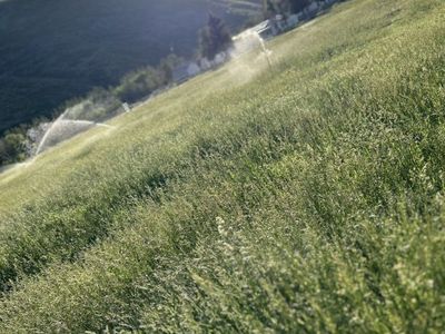 Daniel irrigation Water Shares (Heber utah)