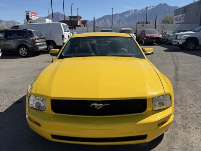 2005 FORD MUSTANG Premium