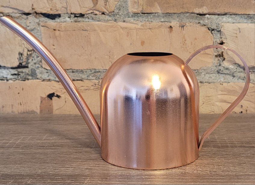 Small Metal Watering Can