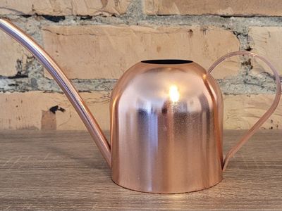 Small Metal Watering Can