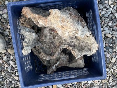 Lava Pieces For Terrarium