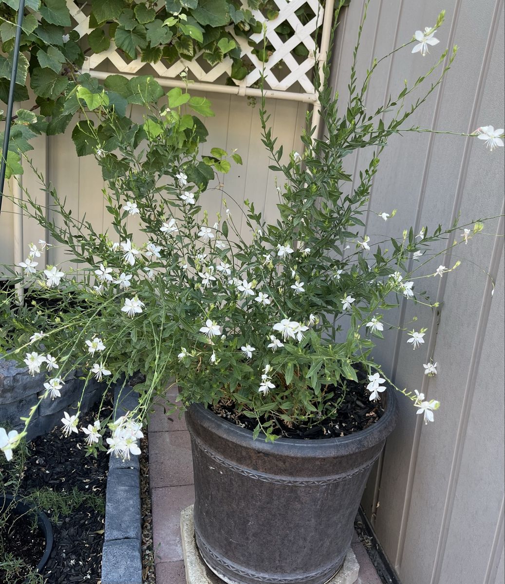 Main image 3
