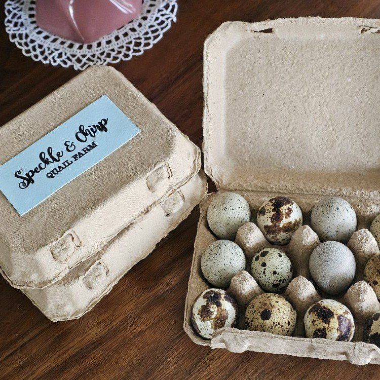quail eggs