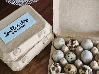 quail eggs