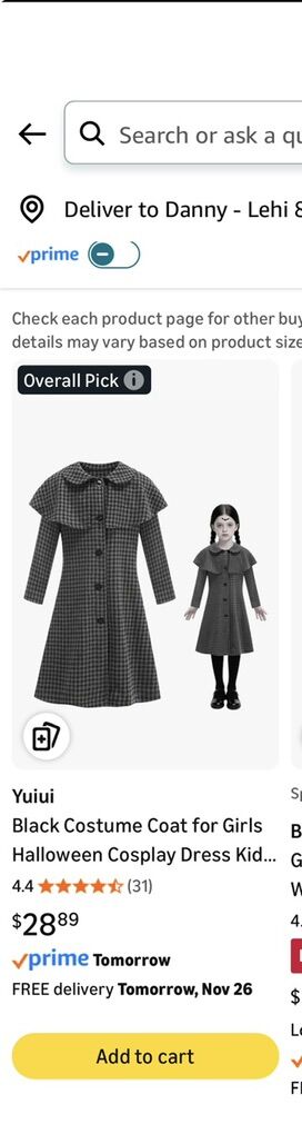 Costume Coat For Girls