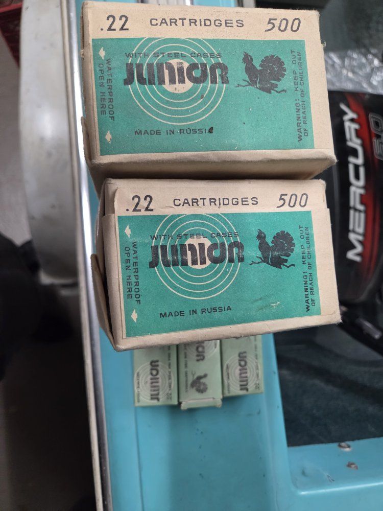 22 LR ammo