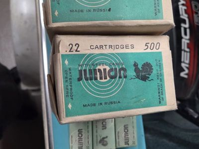 22 LR ammo